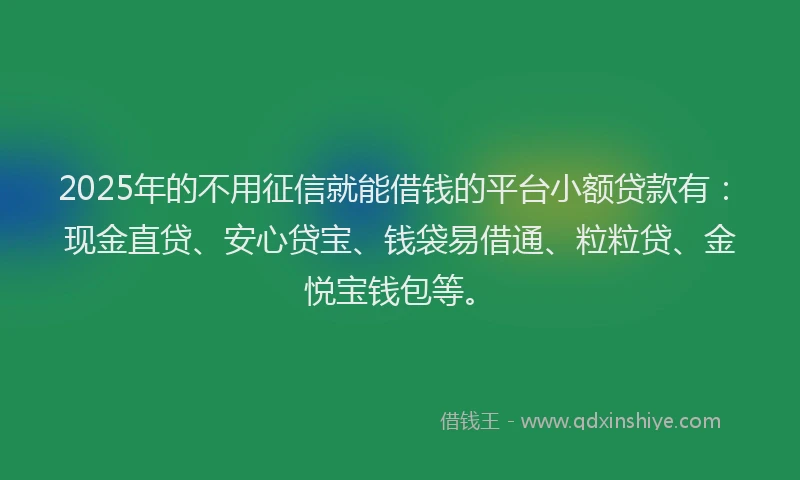 2025年的不用征信就能借钱的平台小额贷款有：现金直贷、安心贷宝、钱袋易借通、粒粒贷、金悦宝钱包等。