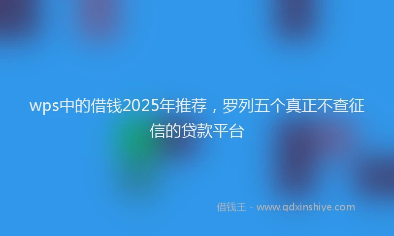wps中的借钱2025年推荐，罗列五个真正不查征信的贷款平台