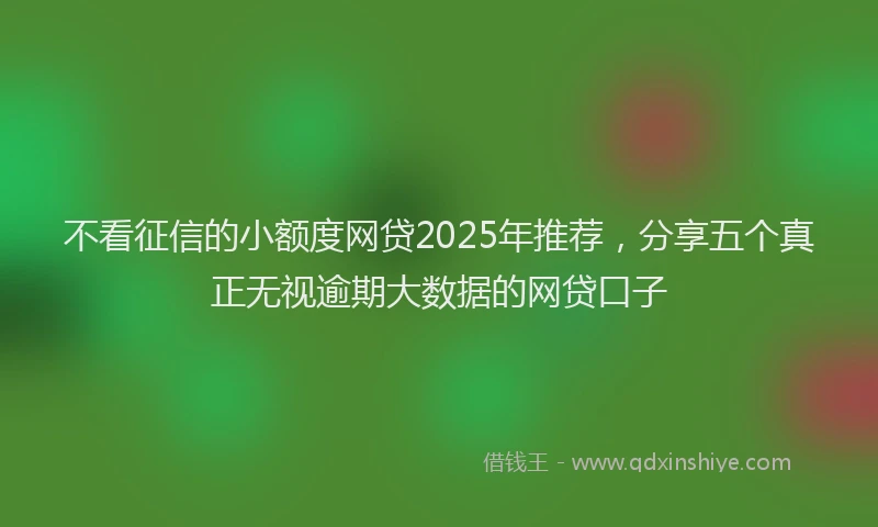 不看征信的小额度网贷2025年推荐，分享五个真正无视逾期大数据的网贷口子