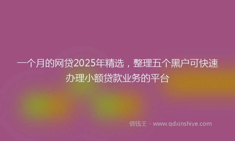 一个月的网贷2025年精选，整理五个黑户可快速办理小额贷款业务的平台