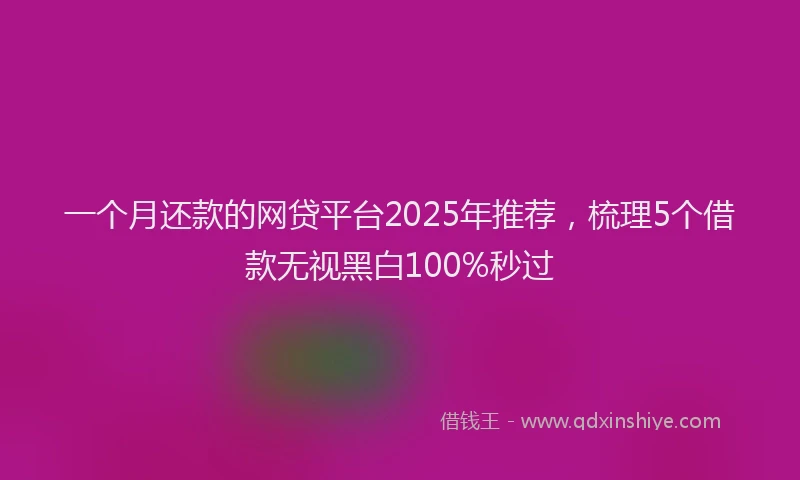 一个月还款的网贷平台2025年推荐，梳理5个借款无视黑白100%秒过