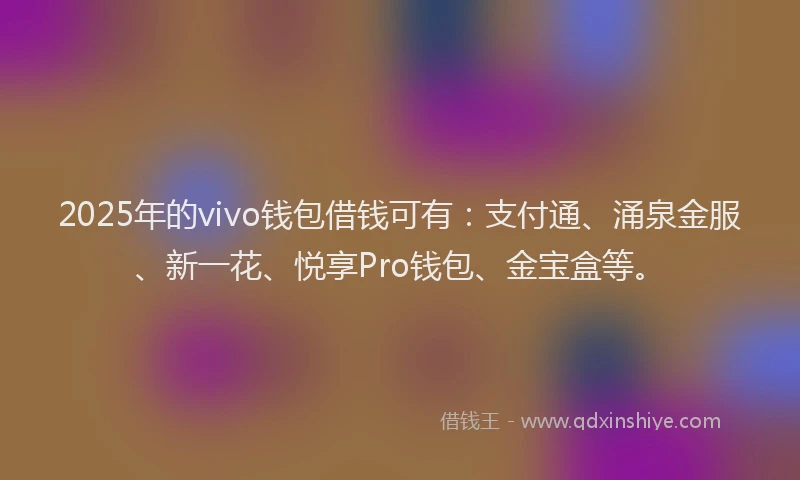 2025年的vivo钱包借钱可有：支付通、涌泉金服、新一花、悦享Pro钱包、金宝盒等。