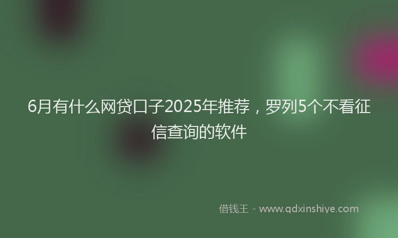 6月有什么网贷口子2025年推荐，罗列5个不看征信查询的软件
