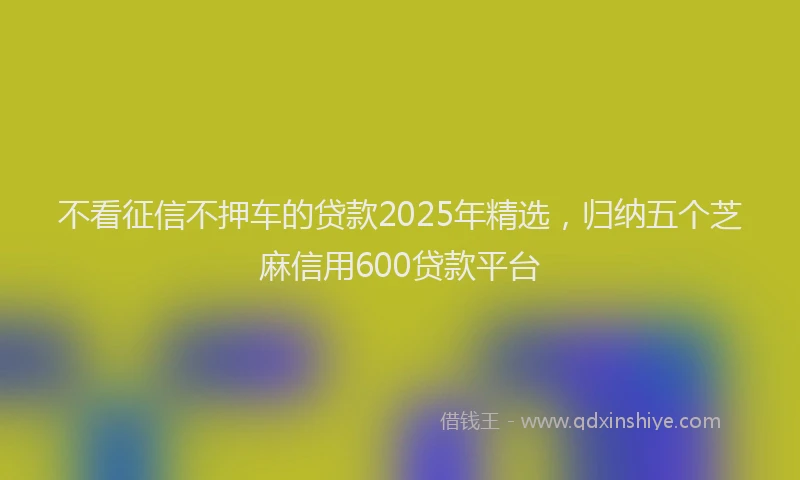 不看征信不押车的贷款2025年精选，归纳五个芝麻信用600贷款平台