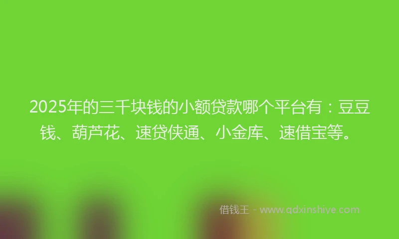 2025年的三千块钱的小额贷款哪个平台有：豆豆钱、葫芦花、速贷侠通、小金库、速借宝等。