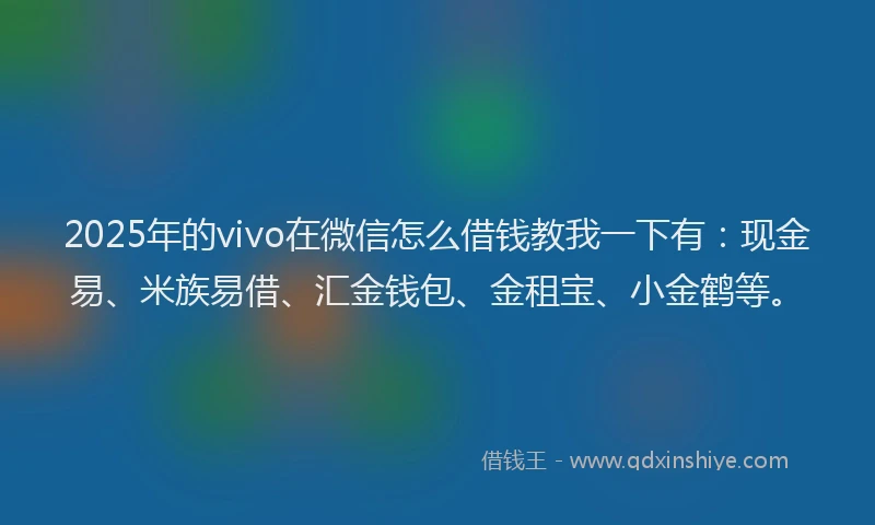 2025年的vivo在微信怎么借钱教我一下有：现金易、米族易借、汇金钱包、金租宝、小金鹤等。