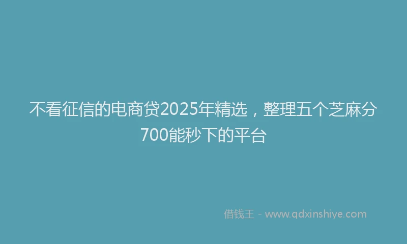 不看征信的电商贷2025年精选，整理五个芝麻分700能秒下的平台