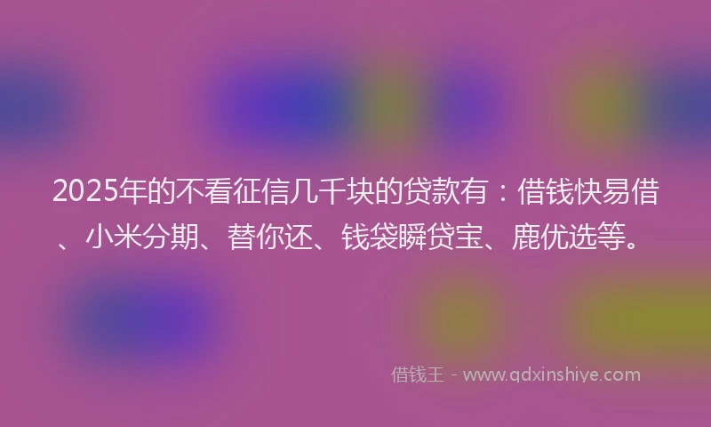 2025年的不看征信几千块的贷款有：借钱快易借、小米分期、替你还、钱袋瞬贷宝、鹿优选等。