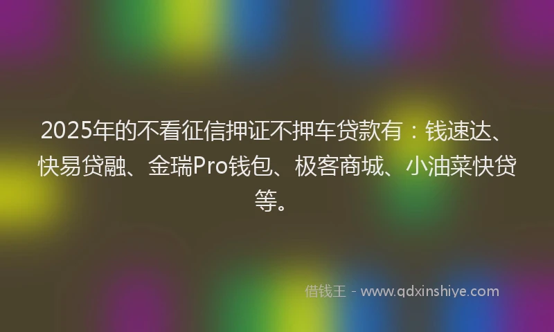2025年的不看征信押证不押车贷款有：钱速达、快易贷融、金瑞Pro钱包、极客商城、小油菜快贷等。