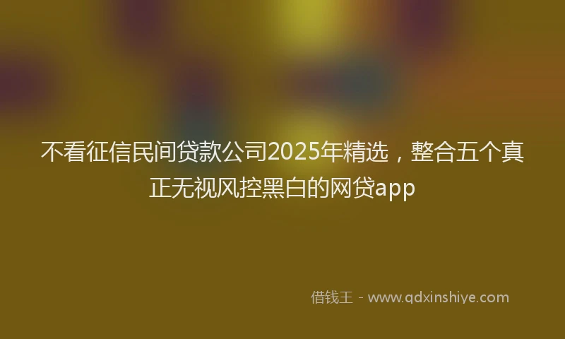 不看征信民间贷款公司2025年精选，整合五个真正无视风控黑白的网贷app