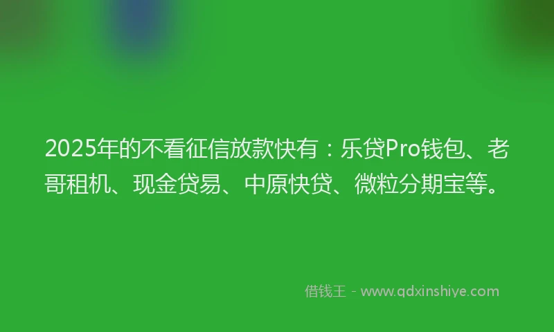 2025年的不看征信放款快有：乐贷Pro钱包、老哥租机、现金贷易、中原快贷、微粒分期宝等。