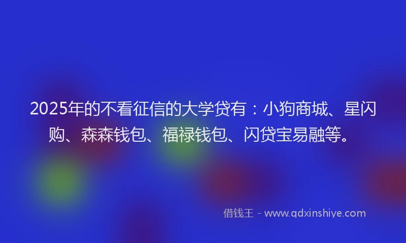 2025年的不看征信的大学贷有：小狗商城、星闪购、森森钱包、福禄钱包、闪贷宝易融等。