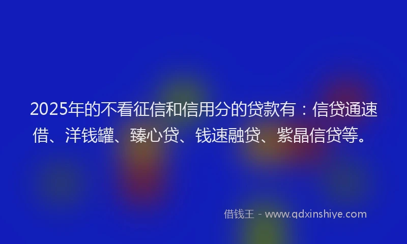 2025年的不看征信和信用分的贷款有：信贷通速借、洋钱罐、臻心贷、钱速融贷、紫晶信贷等。