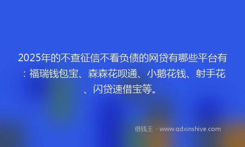 2025年的不查征信不看负债的网贷有哪些平台有：福瑞钱包宝、森森花呗通、小鹅花钱、射手花、闪贷速借宝等。