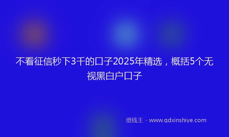 不看征信秒下3千的口子2025年精选，概括5个无视黑白户口子
