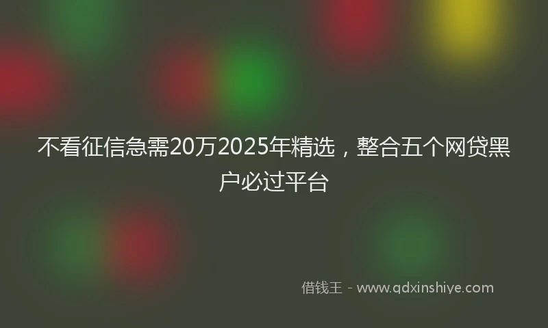不看征信急需20万2025年精选，整合五个网贷黑户必过平台