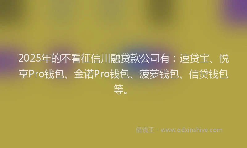 2025年的不看征信川融贷款公司有：速贷宝、悦享Pro钱包、金诺Pro钱包、菠萝钱包、信贷钱包等。