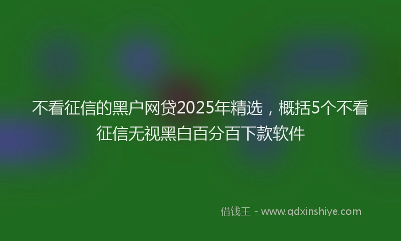 不看征信的黑户网贷2025年精选，概括5个不看征信无视黑白百分百下款软件