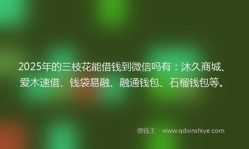 2025年的三枝花能借钱到微信吗有：沐久商城、爱木速借、钱袋易融、融通钱包、石榴钱包等。