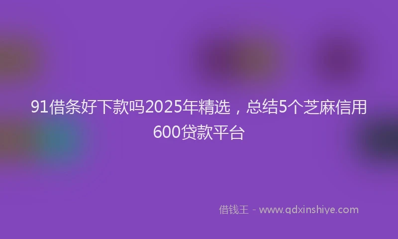 91借条好下款吗2025年精选，总结5个芝麻信用600贷款平台