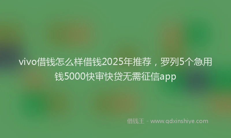 vivo借钱怎么样借钱2025年推荐，罗列5个急用钱5000快审快贷无需征信app