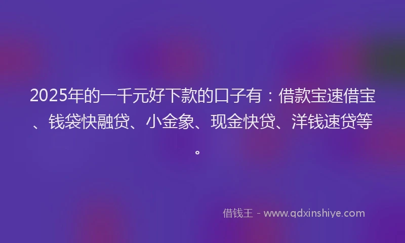 2025年的一千元好下款的口子有：借款宝速借宝、钱袋快融贷、小金象、现金快贷、洋钱速贷等。