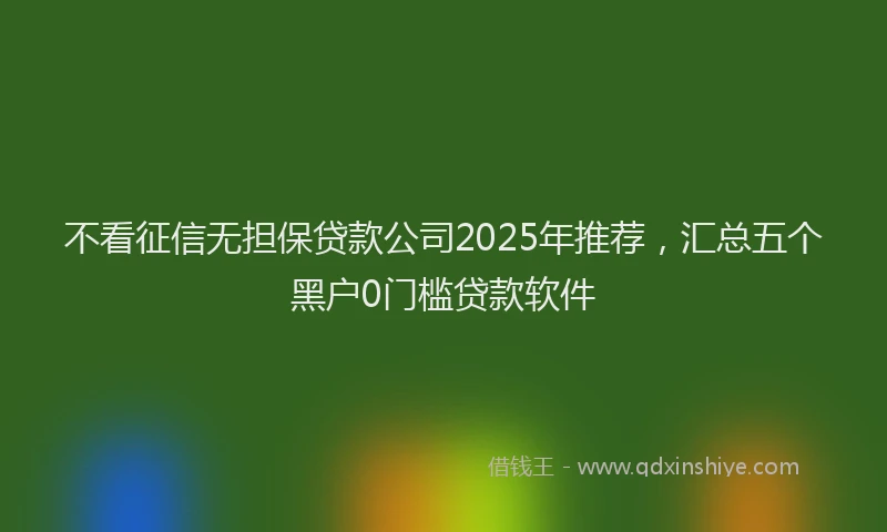 不看征信无担保贷款公司2025年推荐，汇总五个黑户0门槛贷款软件