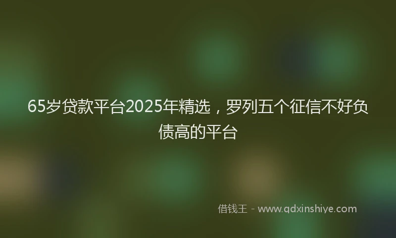 65岁贷款平台2025年精选，罗列五个征信不好负债高的平台