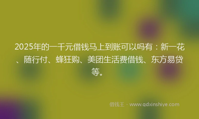 2025年的一千元借钱马上到账可以吗有：新一花、随行付、蜂狂购、美团生活费借钱、东方易贷等。