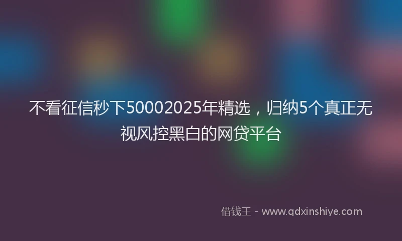 不看征信秒下50002025年精选，归纳5个真正无视风控黑白的网贷平台