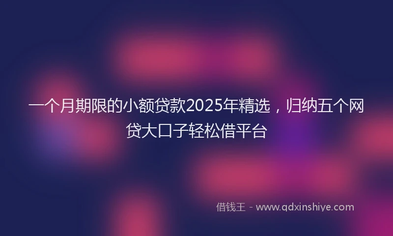 一个月期限的小额贷款2025年精选，归纳五个网贷大口子轻松借平台