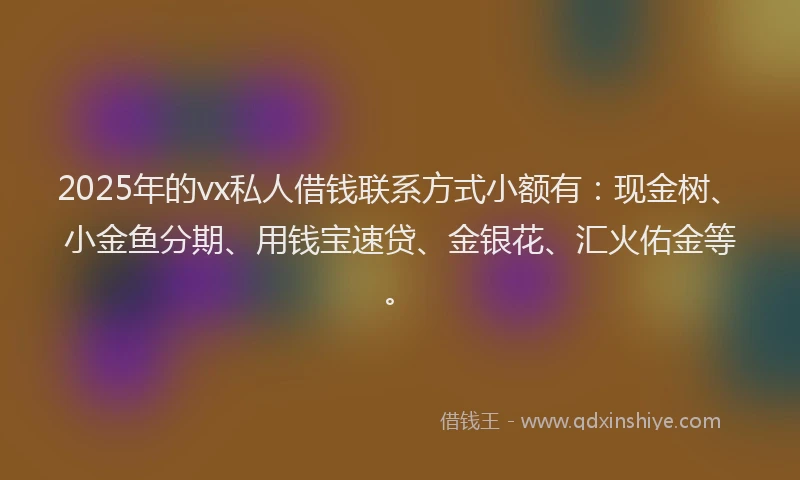 2025年的vx私人借钱联系方式小额有：现金树、小金鱼分期、用钱宝速贷、金银花、汇火佑金等。