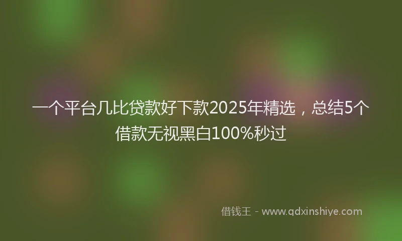 一个平台几比贷款好下款2025年精选，总结5个借款无视黑白100%秒过