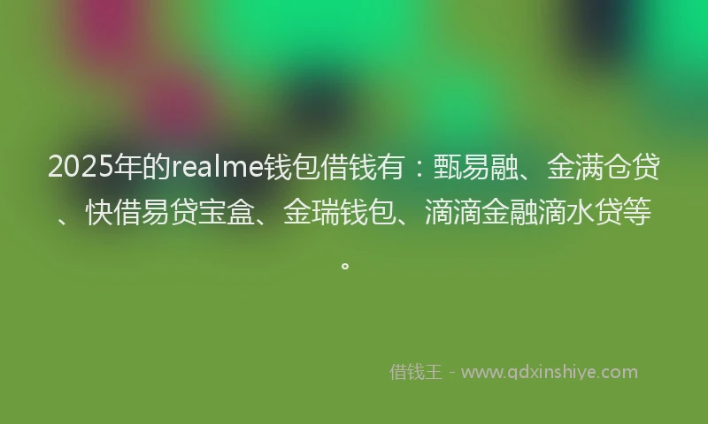 2025年的realme钱包借钱有：甄易融、金满仓贷、快借易贷宝盒、金瑞钱包、滴滴金融滴水贷等。