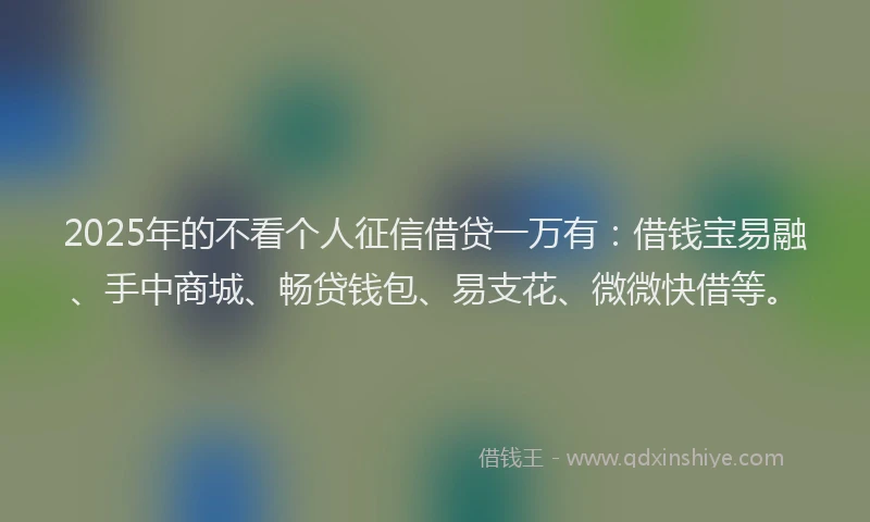2025年的不看个人征信借贷一万有：借钱宝易融、手中商城、畅贷钱包、易支花、微微快借等。