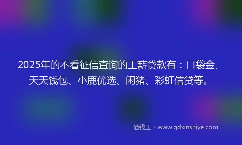2025年的不看征信查询的工薪贷款有：口袋金、天天钱包、小鹿优选、闲猪、彩虹信贷等。