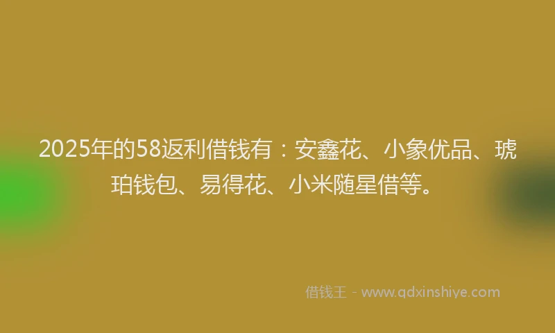 2025年的58返利借钱有：安鑫花、小象优品、琥珀钱包、易得花、小米随星借等。