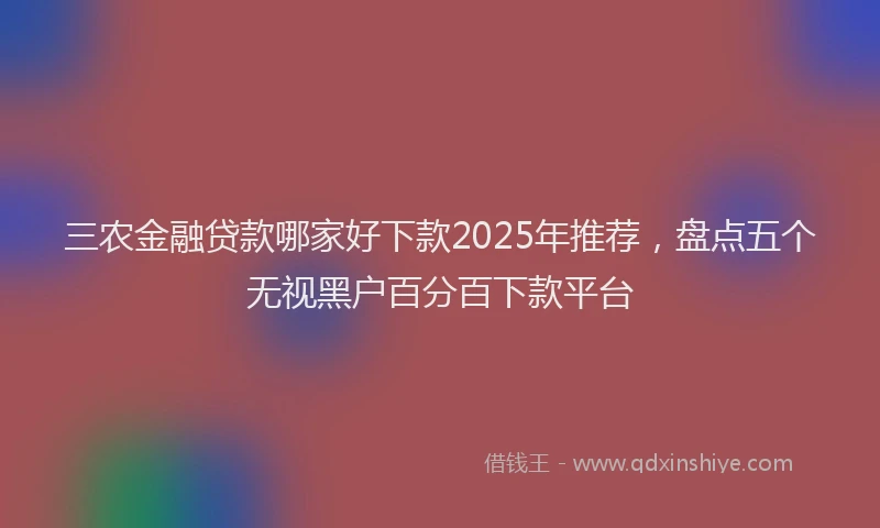 三农金融贷款哪家好下款2025年推荐，盘点五个无视黑户百分百下款平台