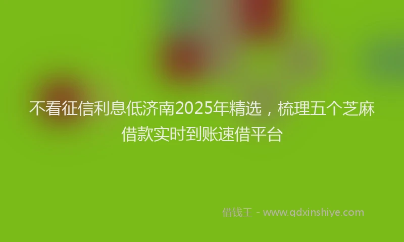 不看征信利息低济南2025年精选，梳理五个芝麻借款实时到账速借平台