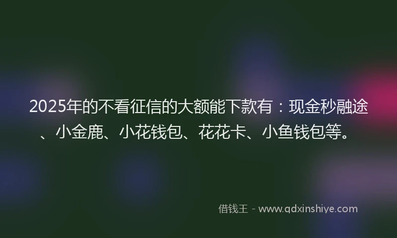 2025年的不看征信的大额能下款有：现金秒融途、小金鹿、小花钱包、花花卡、小鱼钱包等。