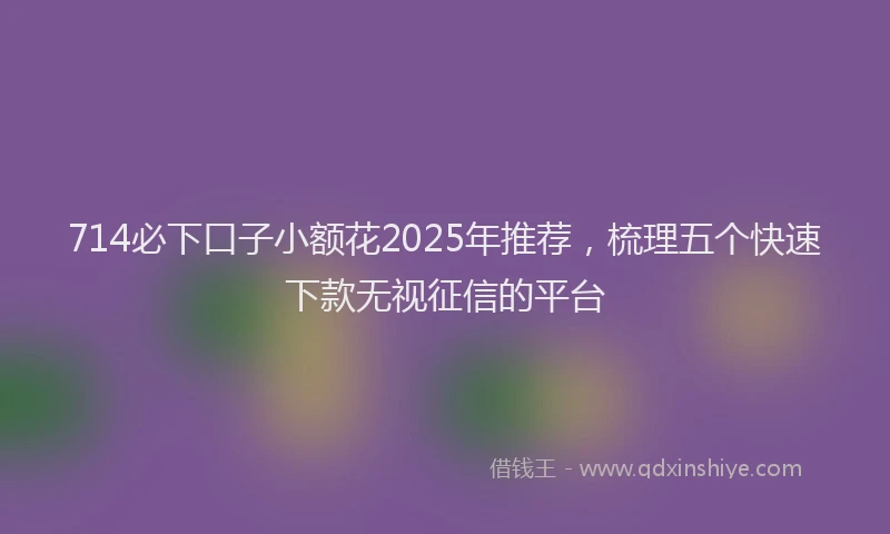 714必下口子小额花2025年推荐，梳理五个快速下款无视征信的平台
