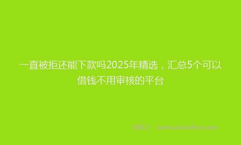 一直被拒还能下款吗2025年精选，汇总5个可以借钱不用审核的平台