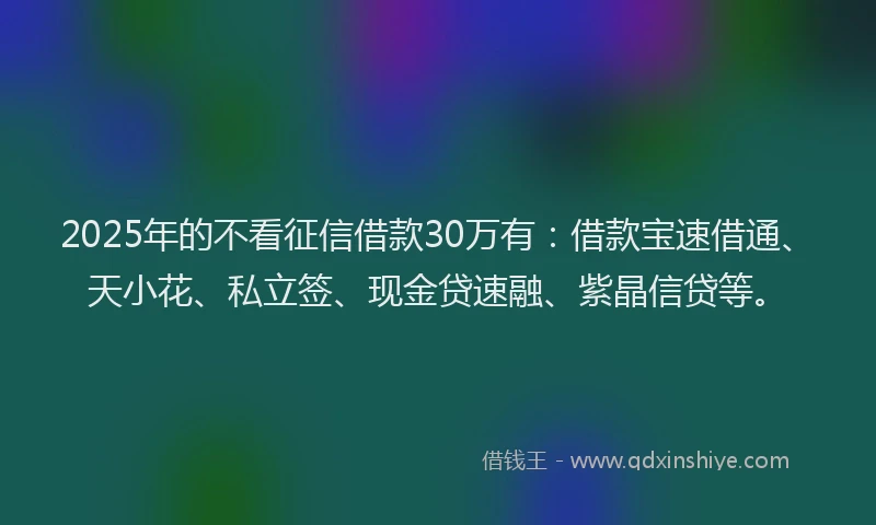 2025年的不看征信借款30万有：借款宝速借通、天小花、私立签、现金贷速融、紫晶信贷等。
