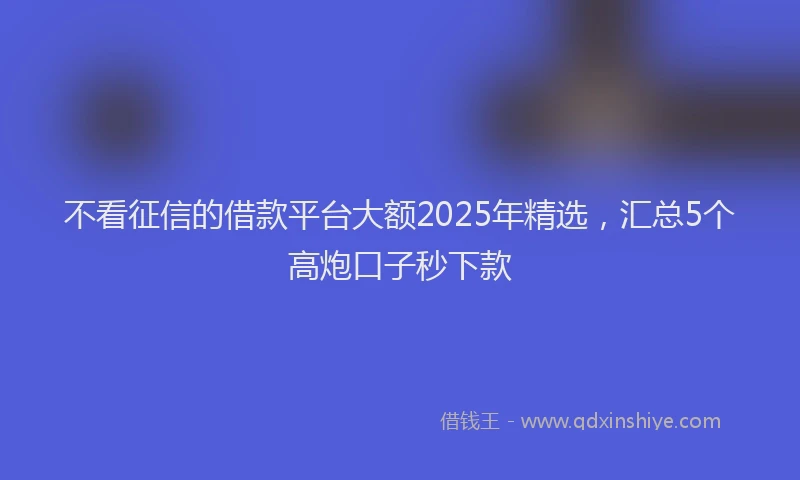 不看征信的借款平台大额2025年精选，汇总5个高炮口子秒下款