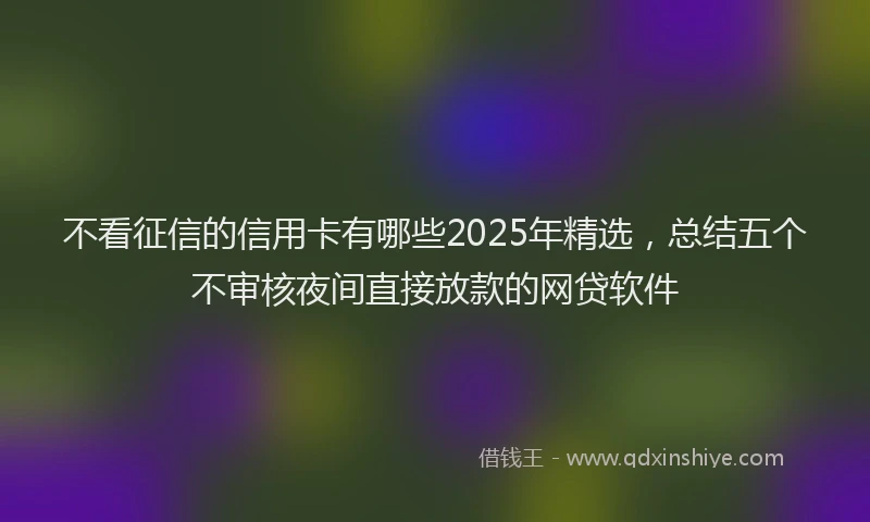 不看征信的信用卡有哪些2025年精选，总结五个不审核夜间直接放款的网贷软件