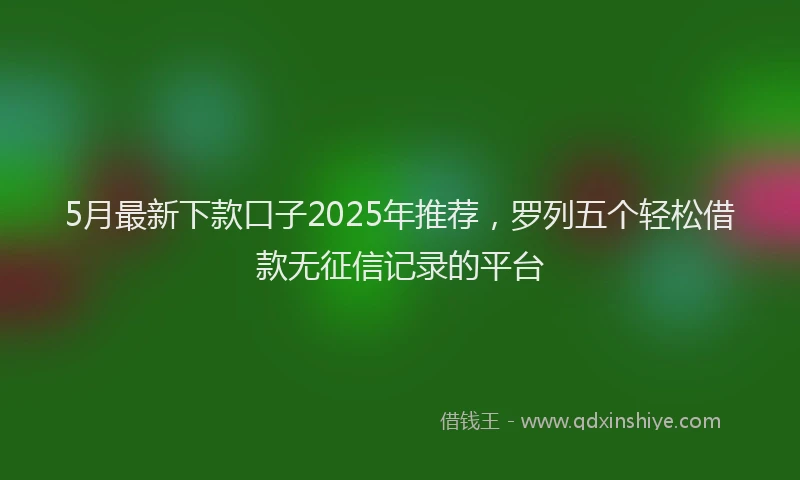 5月最新下款口子2025年推荐，罗列五个轻松借款无征信记录的平台