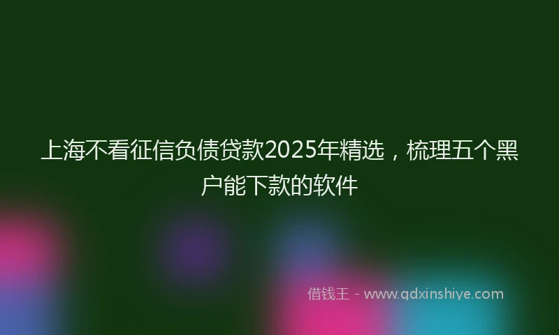 上海不看征信负债贷款2025年精选，梳理五个黑户能下款的软件