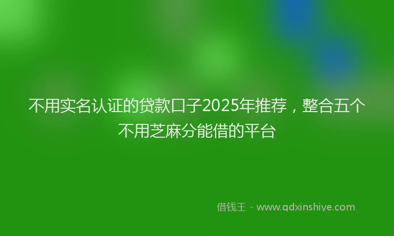 不用实名认证的贷款口子2025年推荐，整合五个不用芝麻分能借的平台