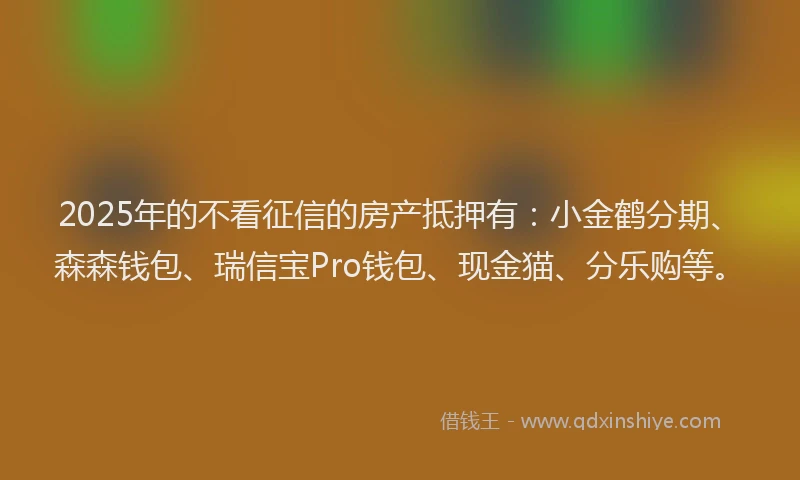 2025年的不看征信的房产抵押有：小金鹤分期、森森钱包、瑞信宝Pro钱包、现金猫、分乐购等。