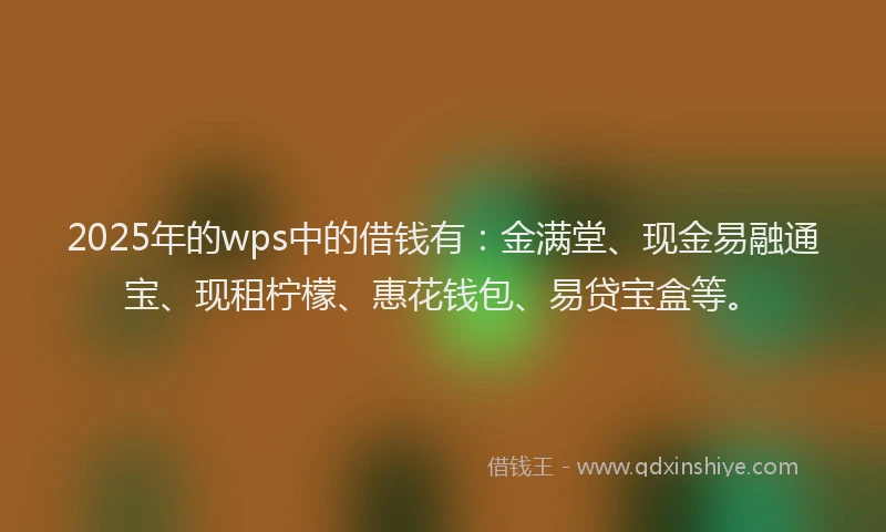 2025年的wps中的借钱有：金满堂、现金易融通宝、现租柠檬、惠花钱包、易贷宝盒等。